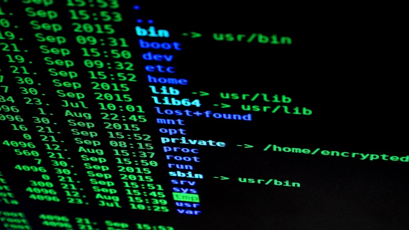 OpenVPN Client